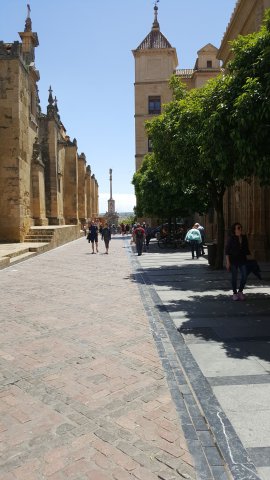 730 cordoba